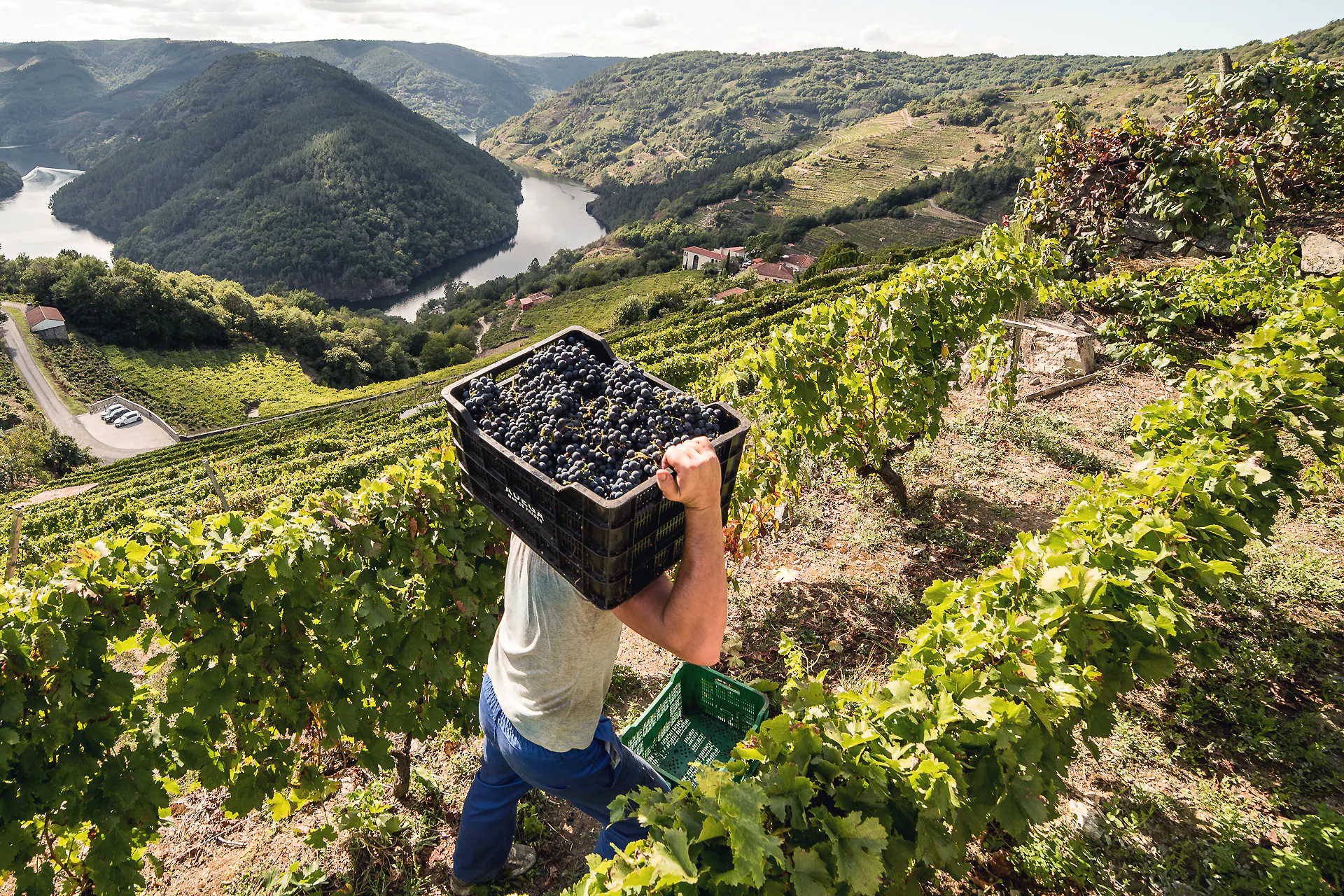 A Rising Star in Northwest Spain! Abadía da Cova Wine Dinner @ South + Pine...