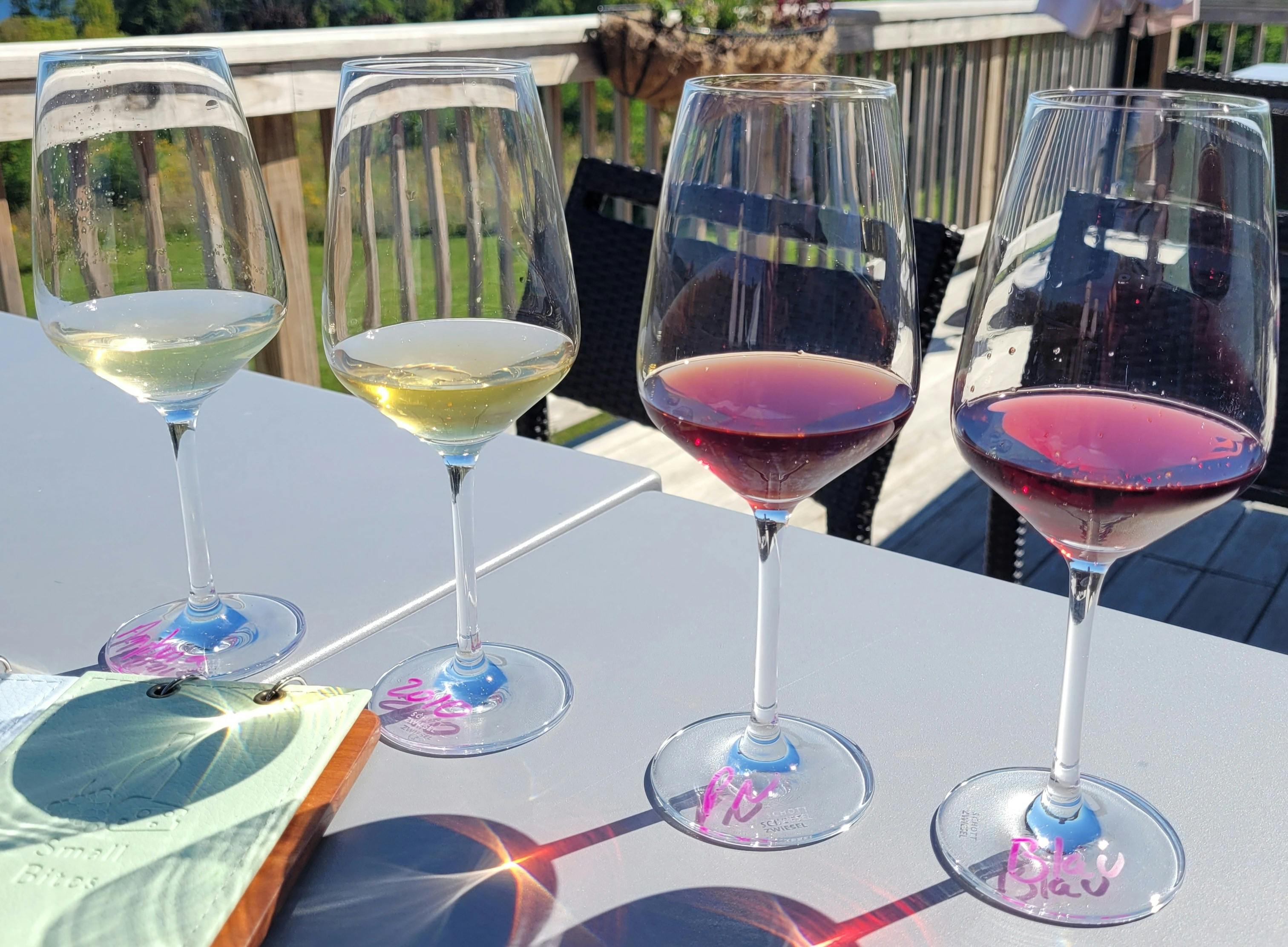 Explorer Series: Find Your Favorite! 