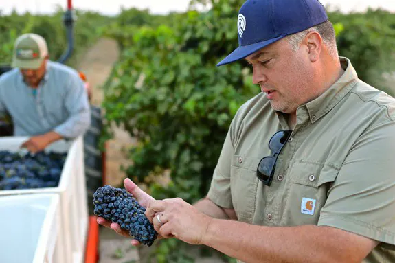California Royalty in Montclair! A Turley Wine Cellars & Sandlands Dinner @ Turtle + the Wolf…