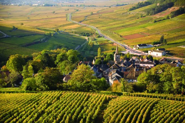 CLASS ALERT! Deep Dive France - “A Week in Burgundy” w/ Amanti Vino!