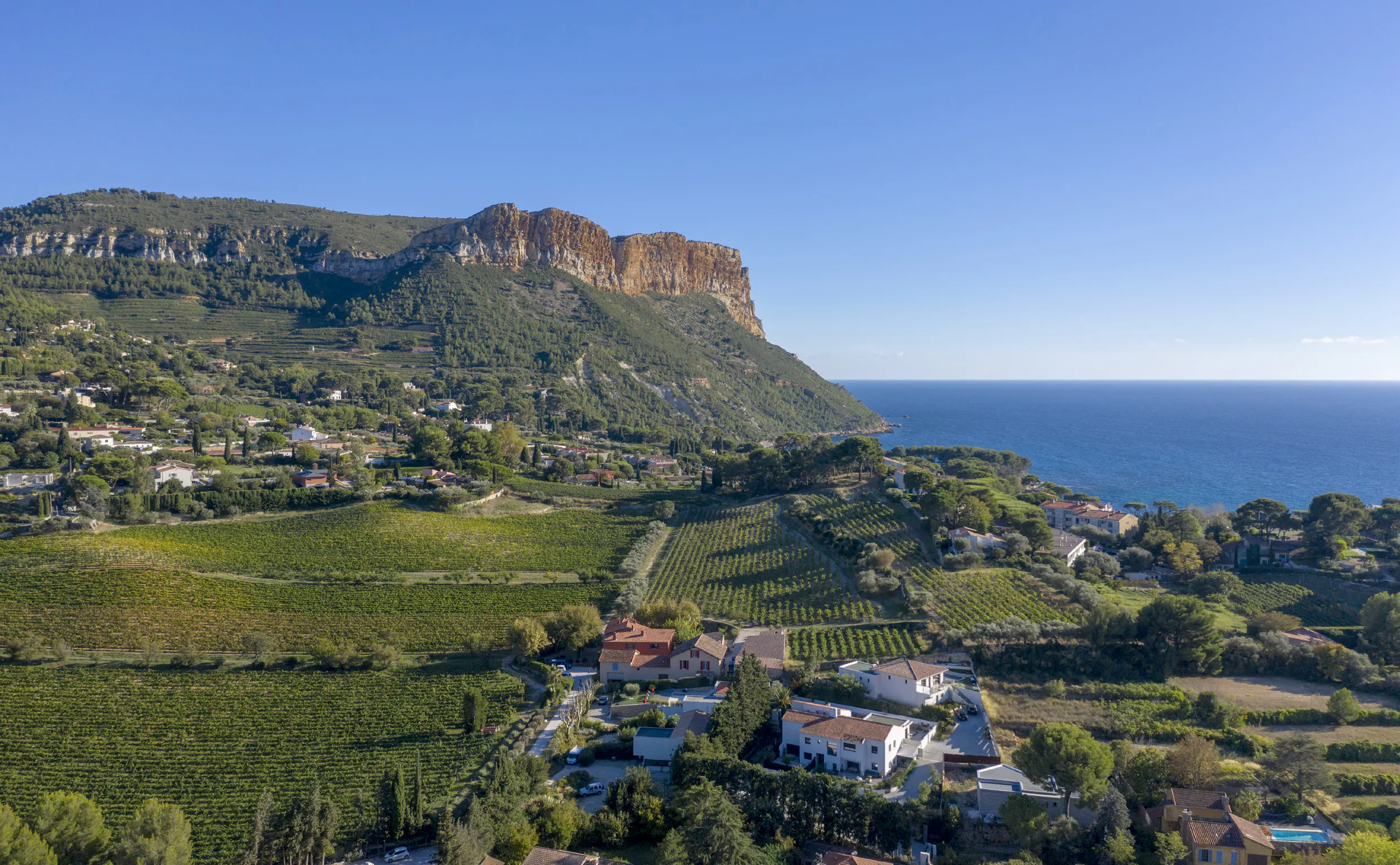Deep Dive Series! Provence: “From Bandol to the Luberon” w/ Rosenthal Wine Merchants