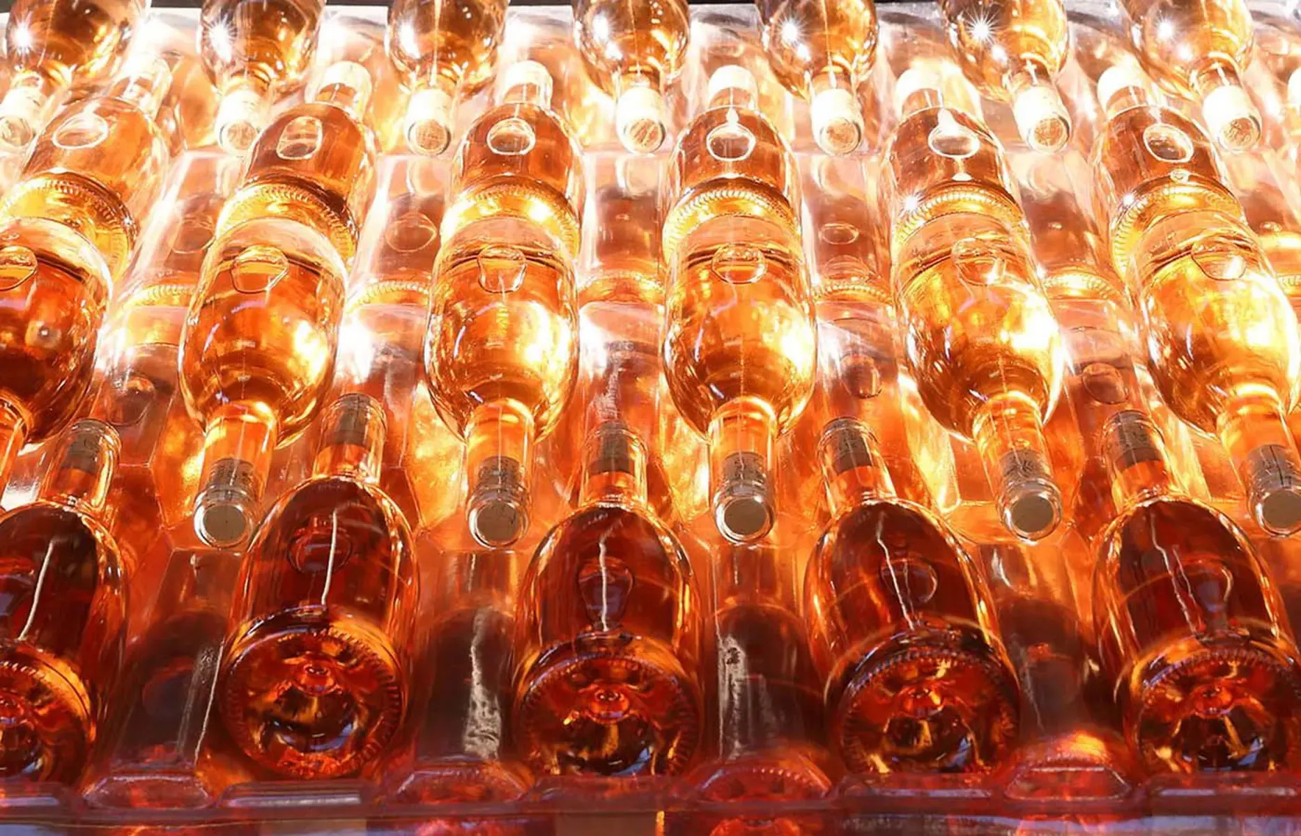 Explorer Series: International Rosés! 