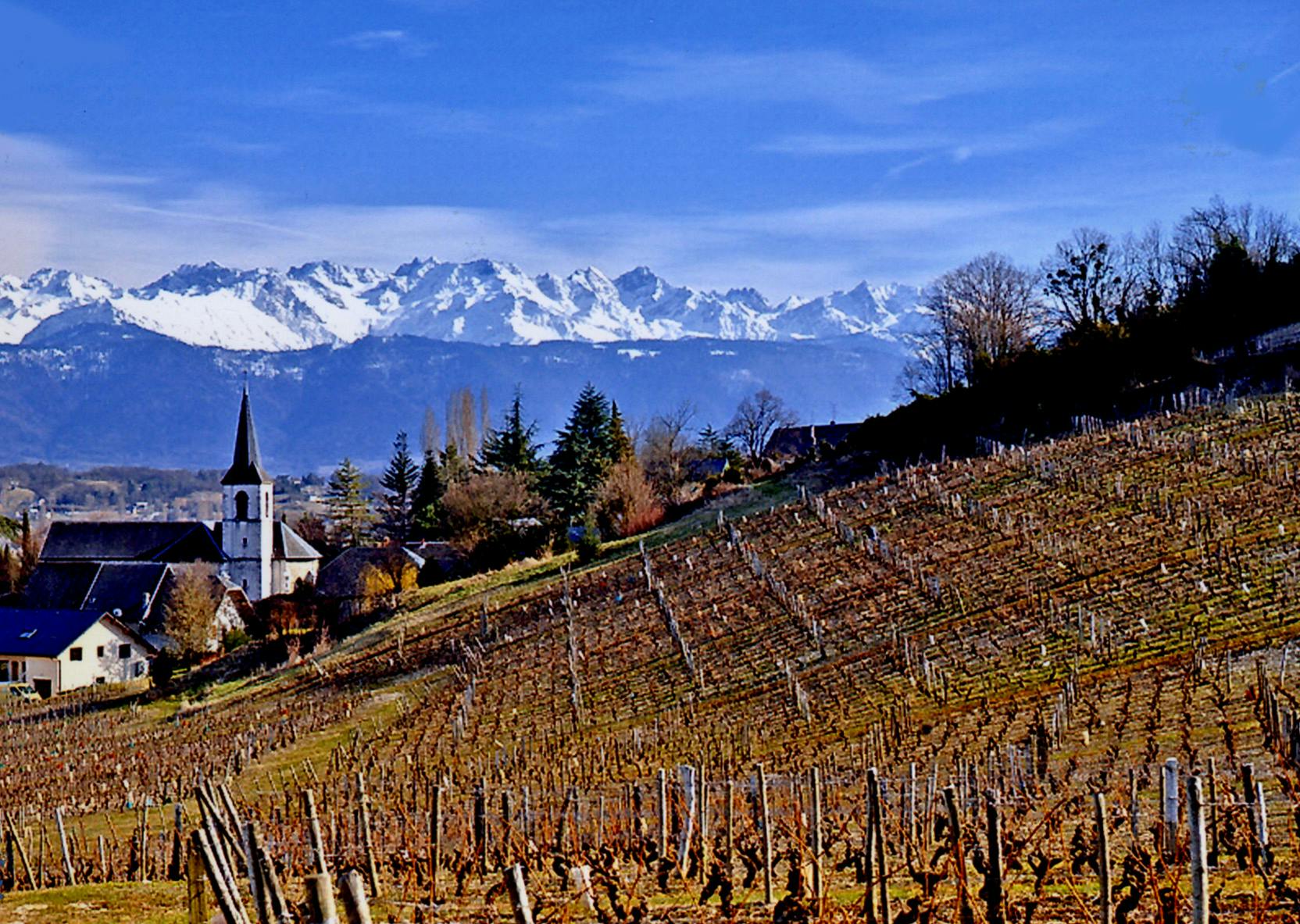 Deep Dive Series: A Tour de France!