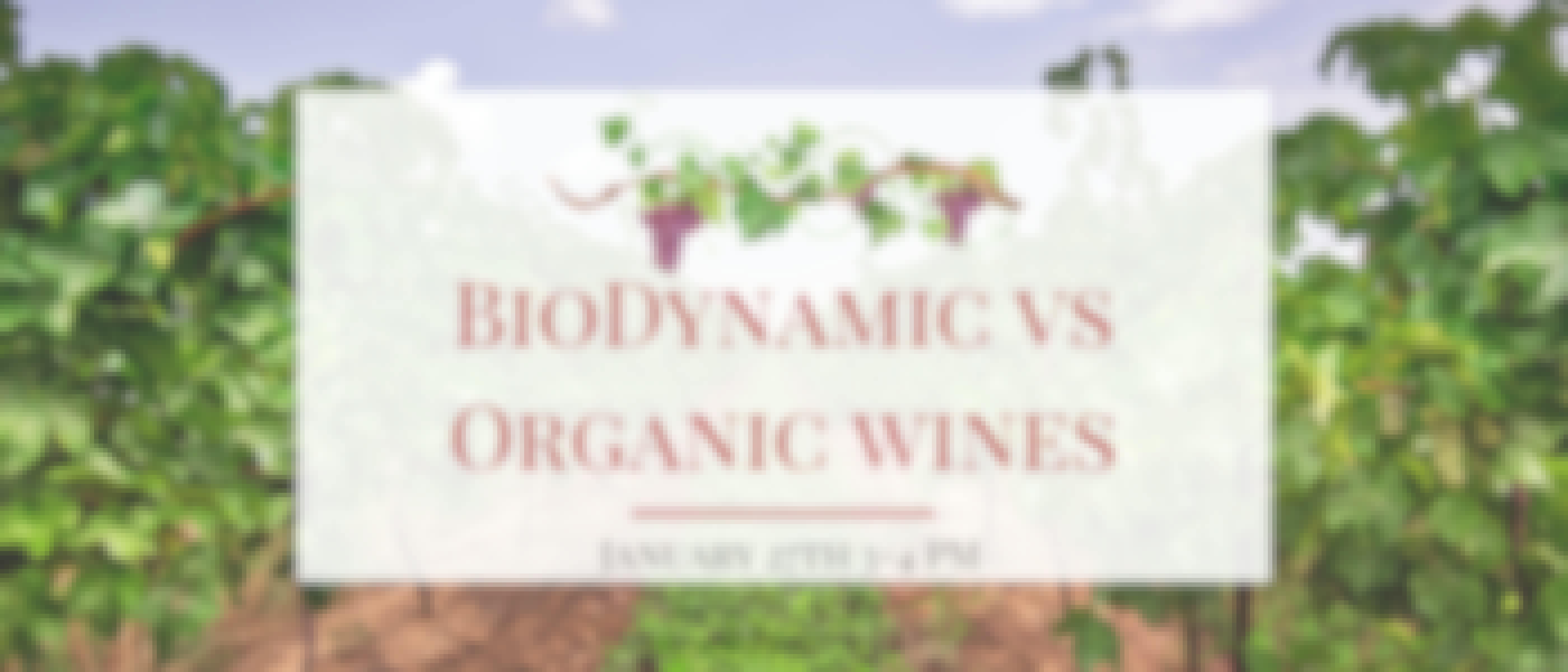 Biodynamic vs Organic