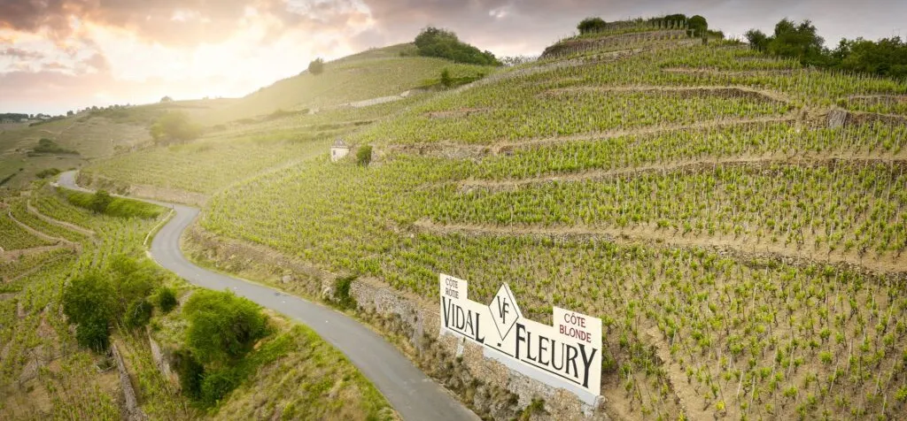 Vidal-Fleury French Rhône Tasting