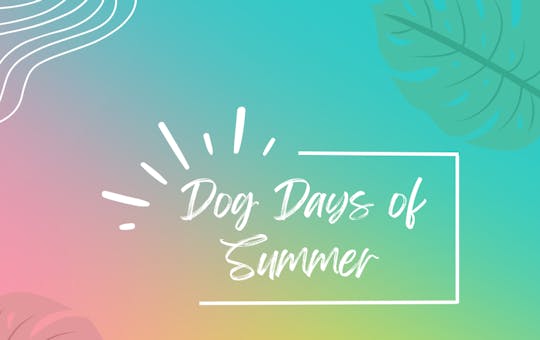 The Dog Days of Summer