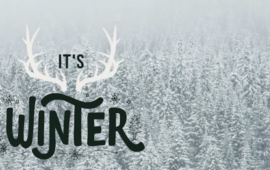 It's Winter...