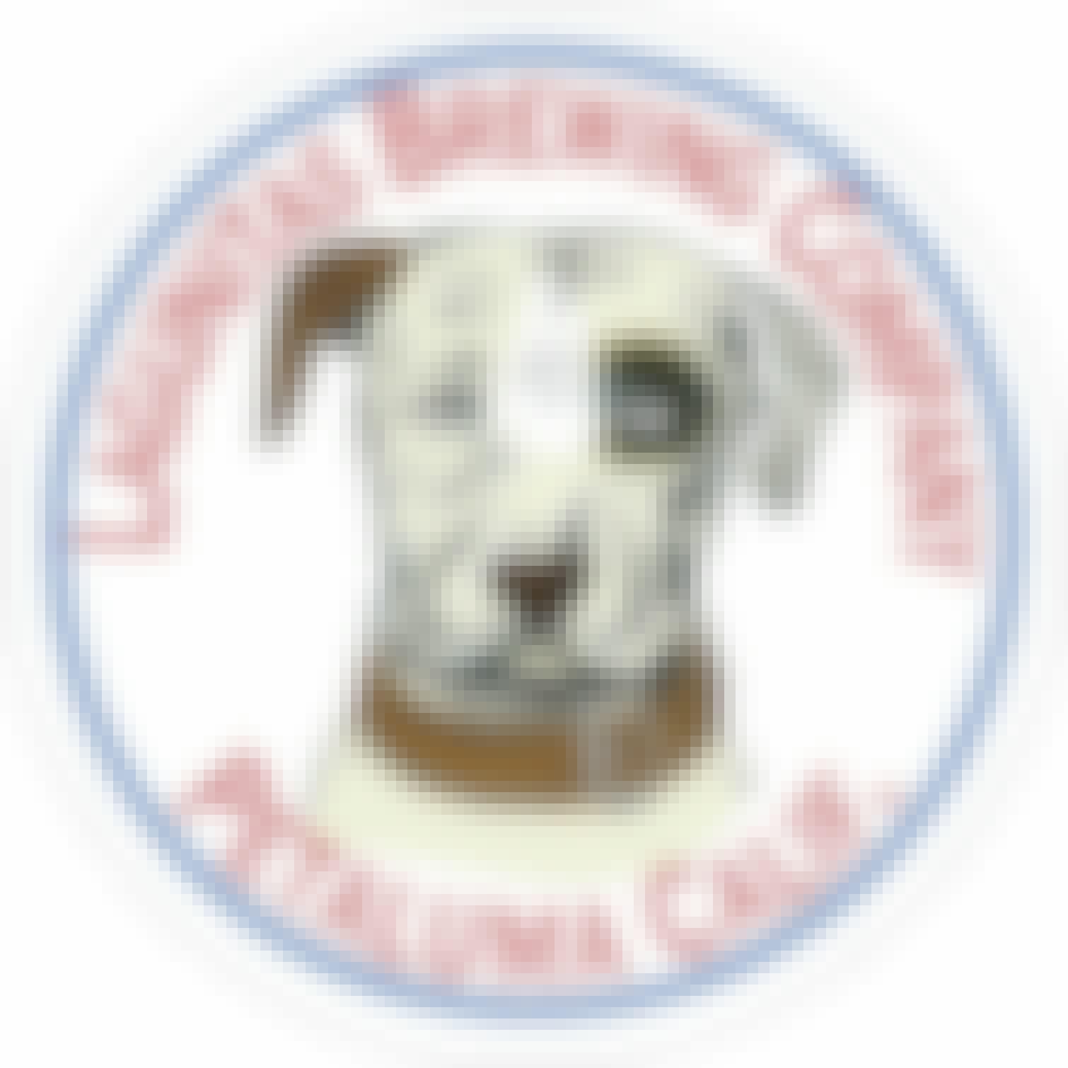 Lagunitas Maximus Colossal IPA 20 oz. Lagunitas Maximus Colossal IPA 20 oz.