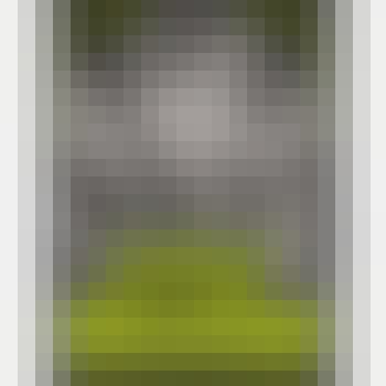 Stone Brewing Co. Delicious IPA 12 pack 12 oz. Can Stone Brewing Co. Delicious IPA 12 pack 12 oz. Can