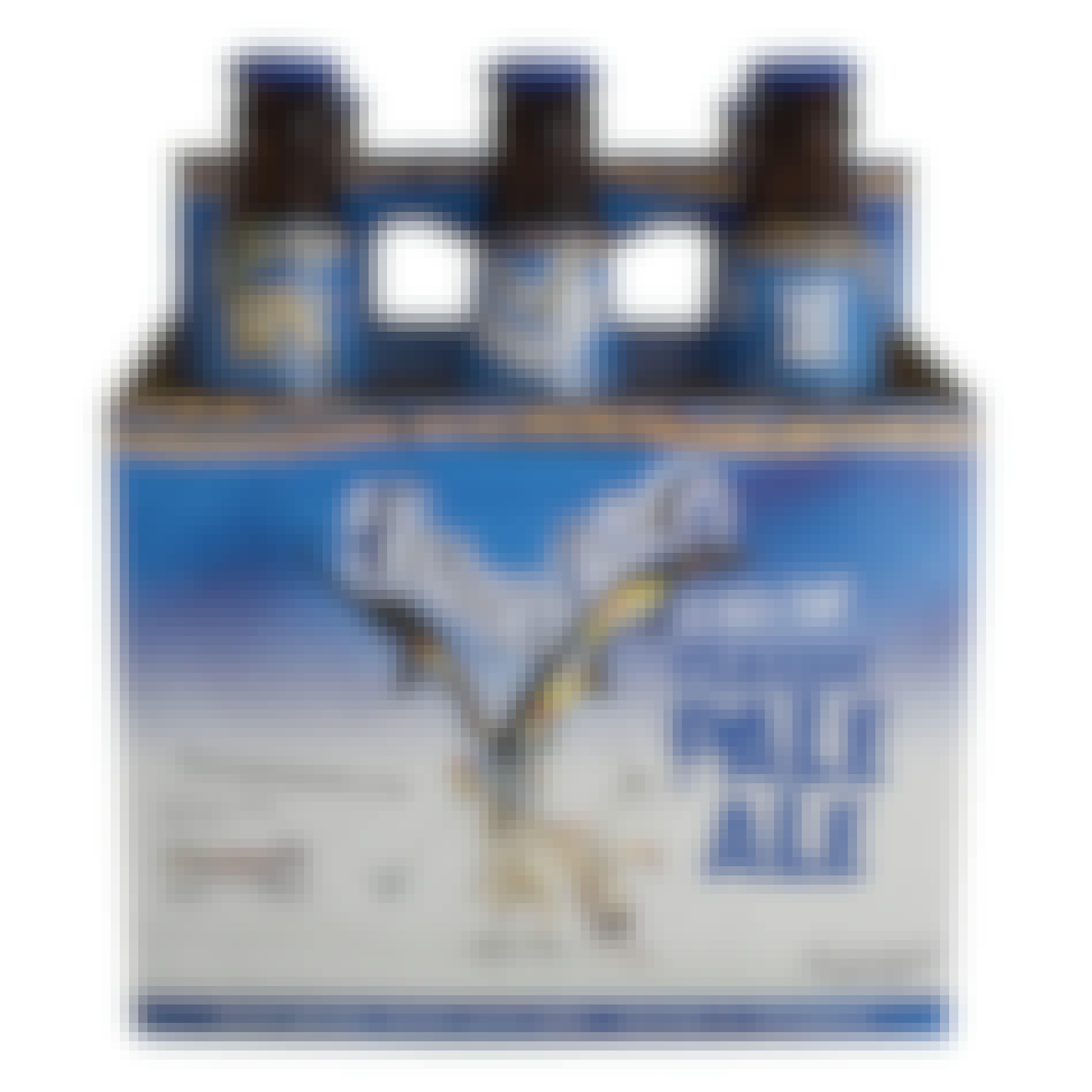 Flying Dog Pale Ale 6 pack 12 oz. Bottle