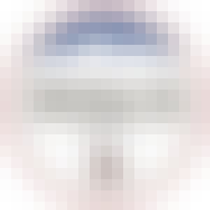 Busch Light Peach 30 pack Busch Light Peach 30 pack