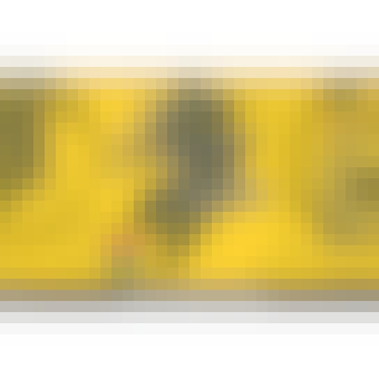 Cape May Brewing Company Honey Porter 6 pack 12 oz. Can Cape May Brewing Company Honey Porter 6 pack 12 oz. Can