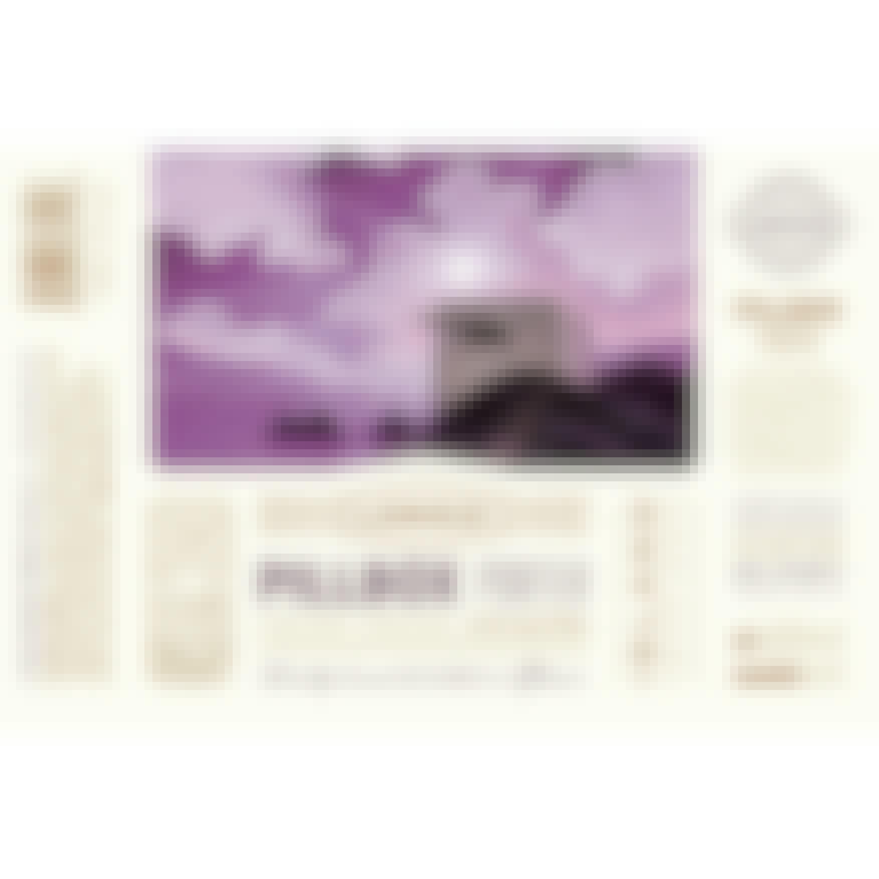 Lanikai Brewing Company Pillbox Porter 4 pack 16 oz. Can