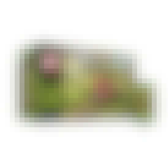 Founders Brewery All Day IPA 15 pack 12 oz. Founders Brewery All Day IPA 15 pack 12 oz.