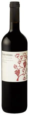 Montevetrano Colli di Salerno Rosso 2017 750ml - Station Plaza Wine