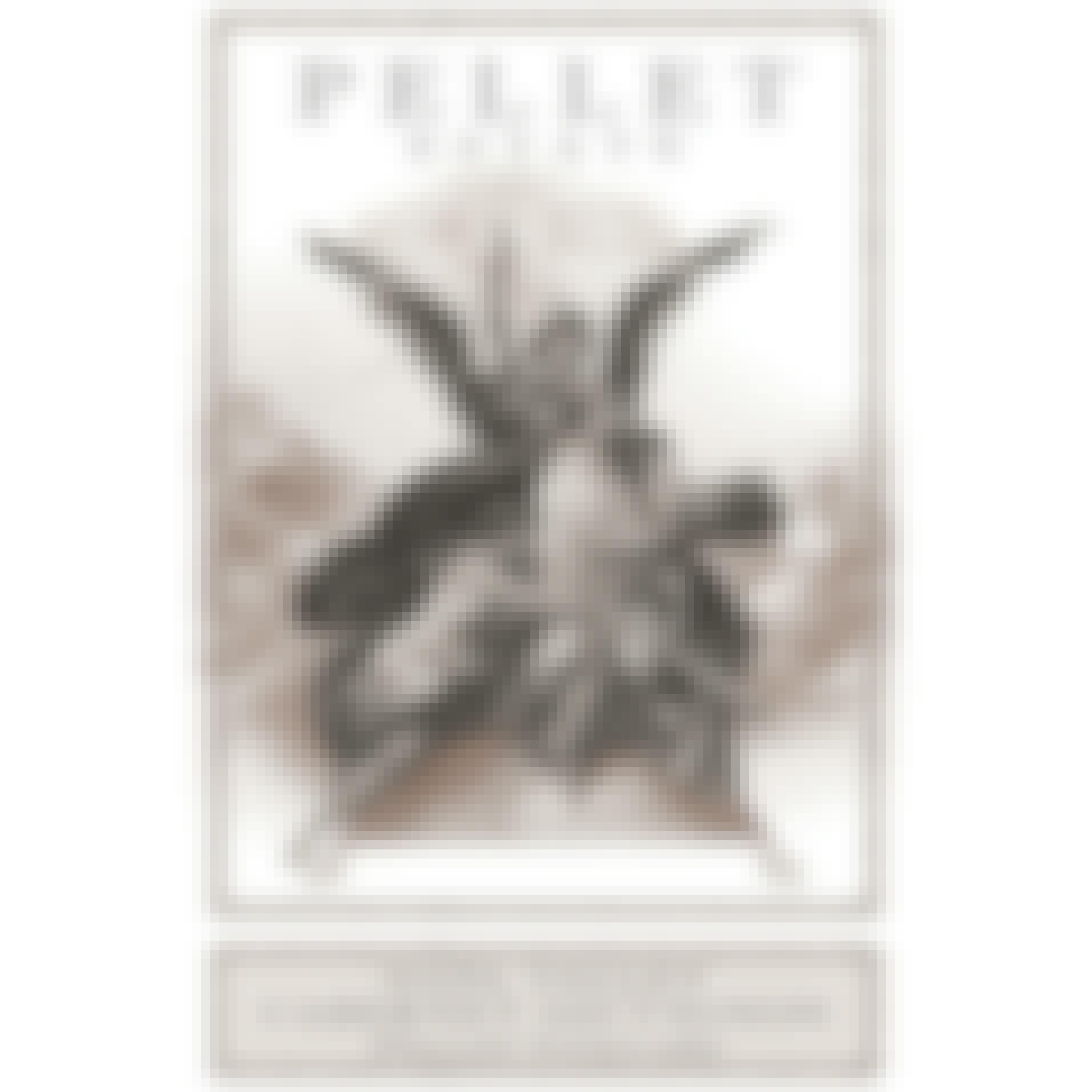 Pellet Estate Pellet Vineyard Cabernet Sauvignon 2013 750ml