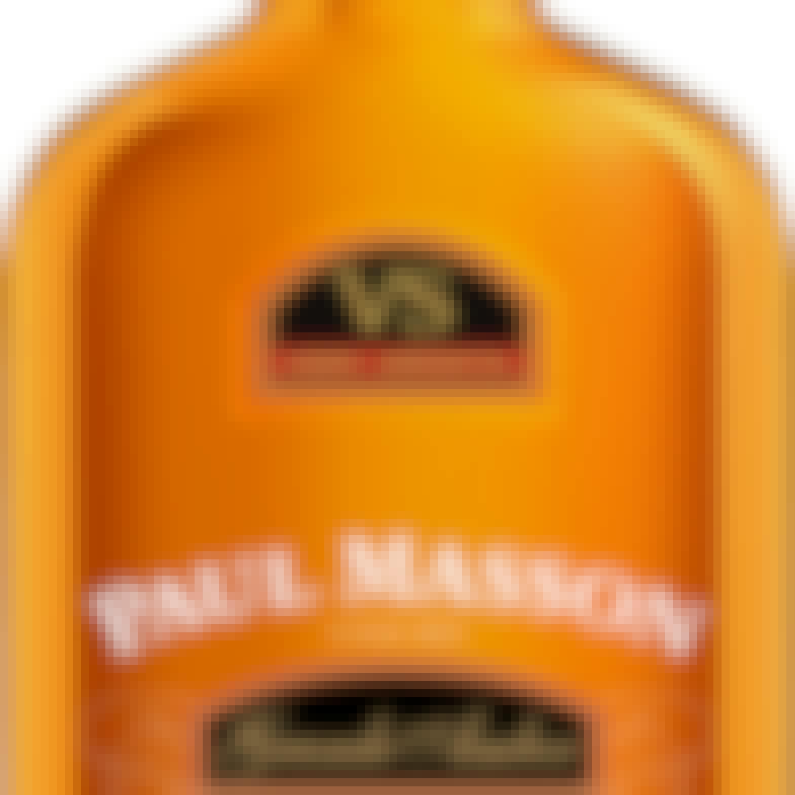 Paul Masson Grande Amber VS Brandy 375ml
