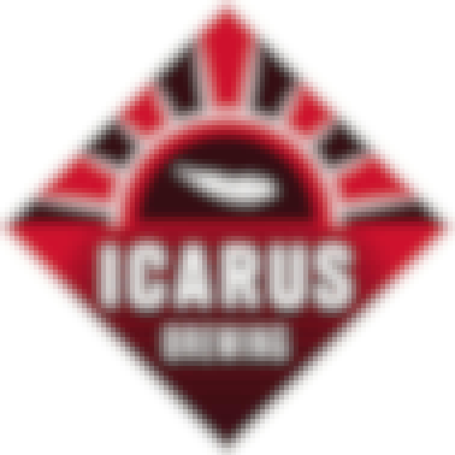 Icarus Brewing Feathers Pilsner 12 pack 12 oz. Can