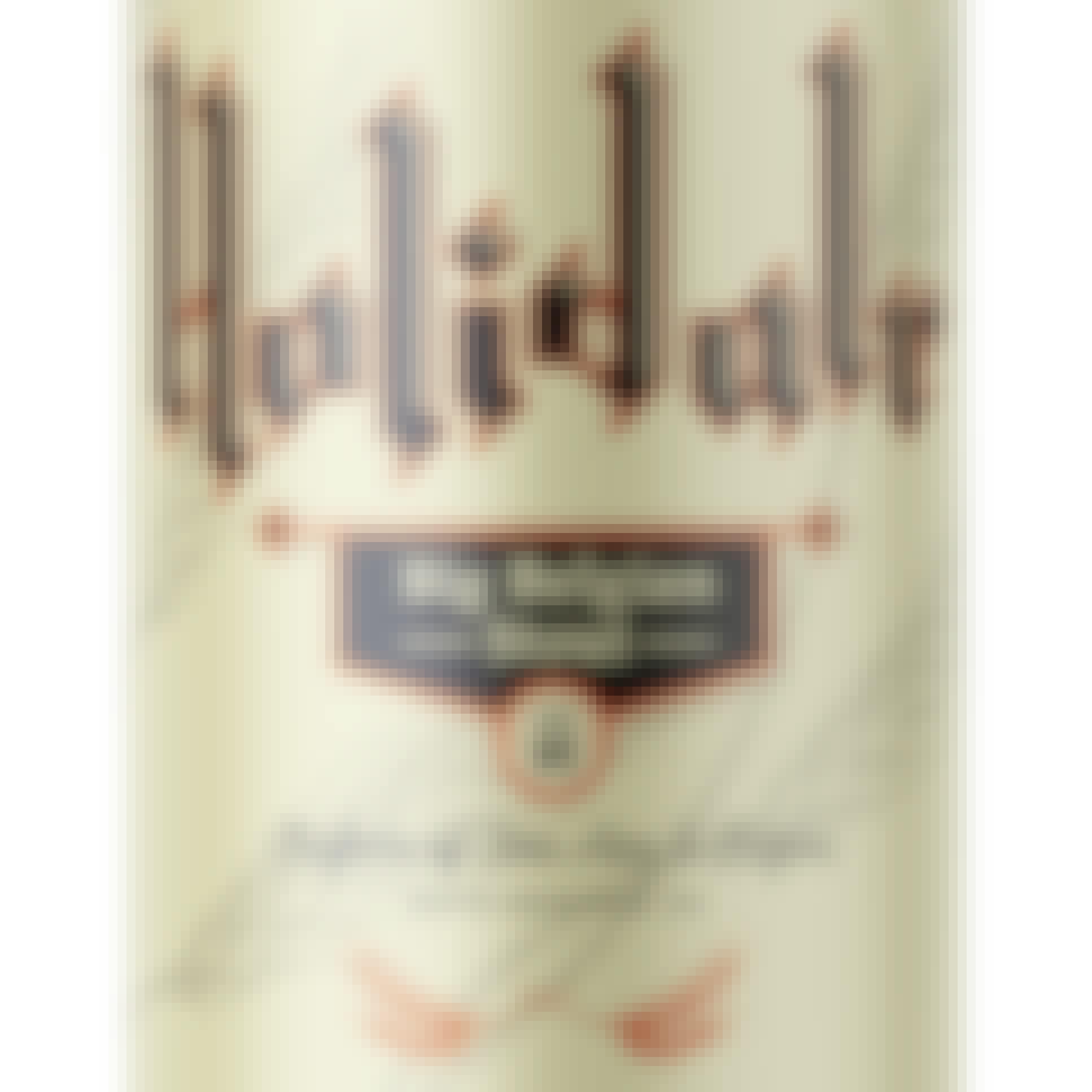 Berkshire Brewing Holidale 22 oz.