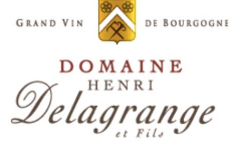 Domaine Delagrange Pommard 1er Cru Les Bertins 2020 750 ml.