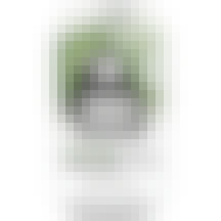 The Bronx Brewery Boom Boom Ipa 6 pack 12 oz. The Bronx Brewery Boom Boom Ipa 6 pack 12 oz.