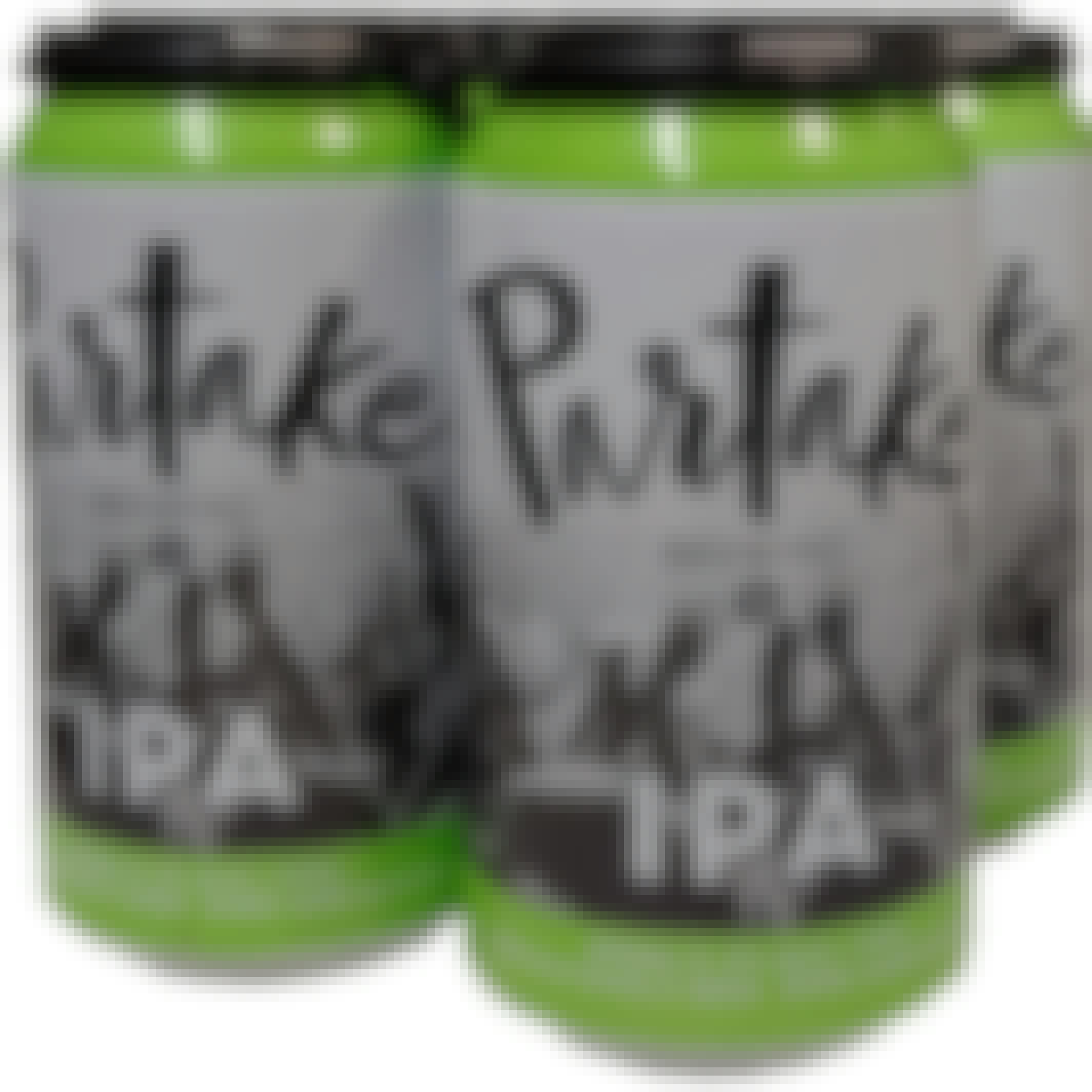 Partake Non Alcoholic IPA 6 pack Bottle