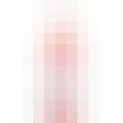 Bloomers Frosé 1L