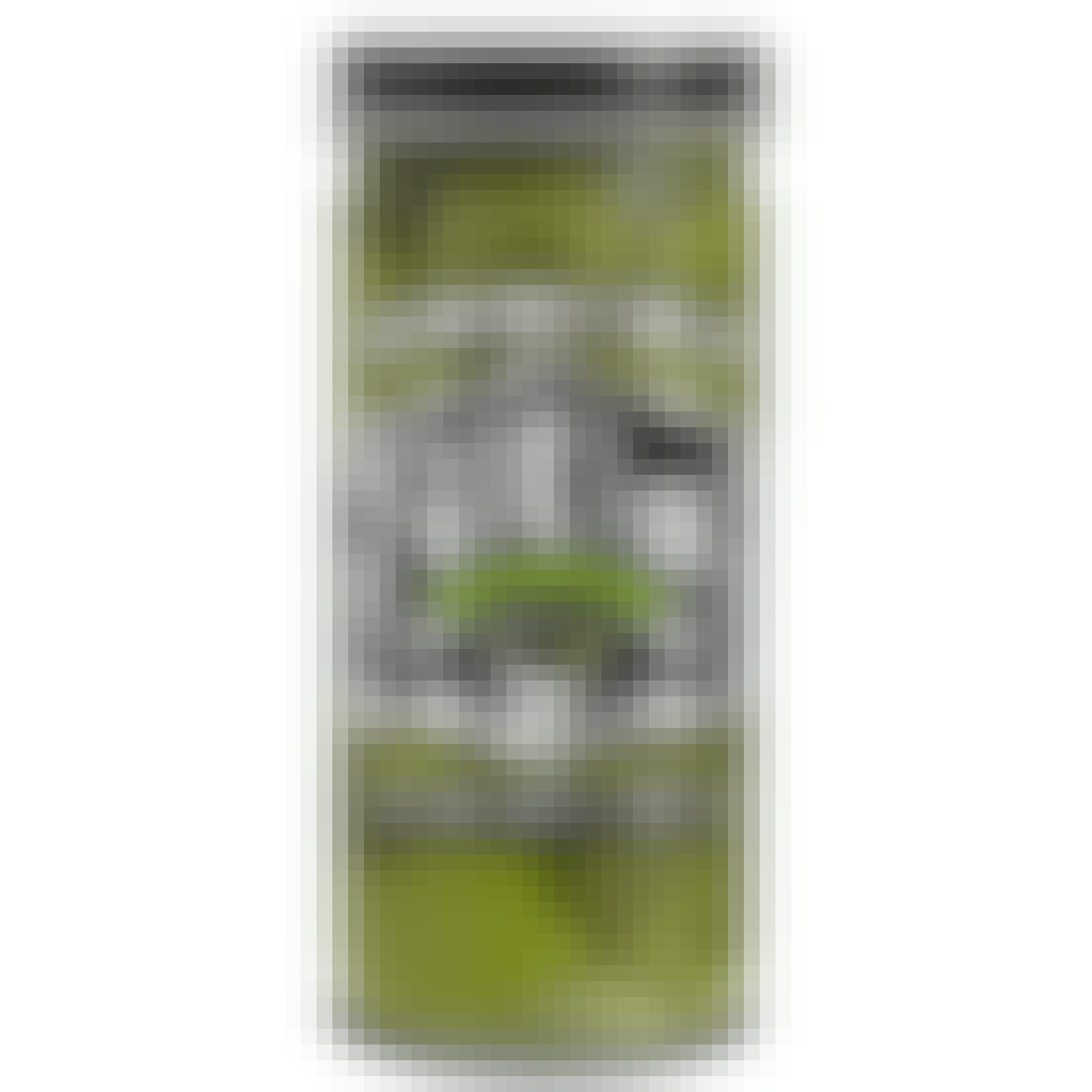 Filthy Food Filthy Pickle Vermouth Soaked Green Olives 8 oz.