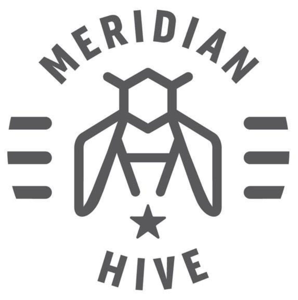 Meridian Hive Meadery Honey Mead 4 pack 12 oz. Can Buster's Liquors