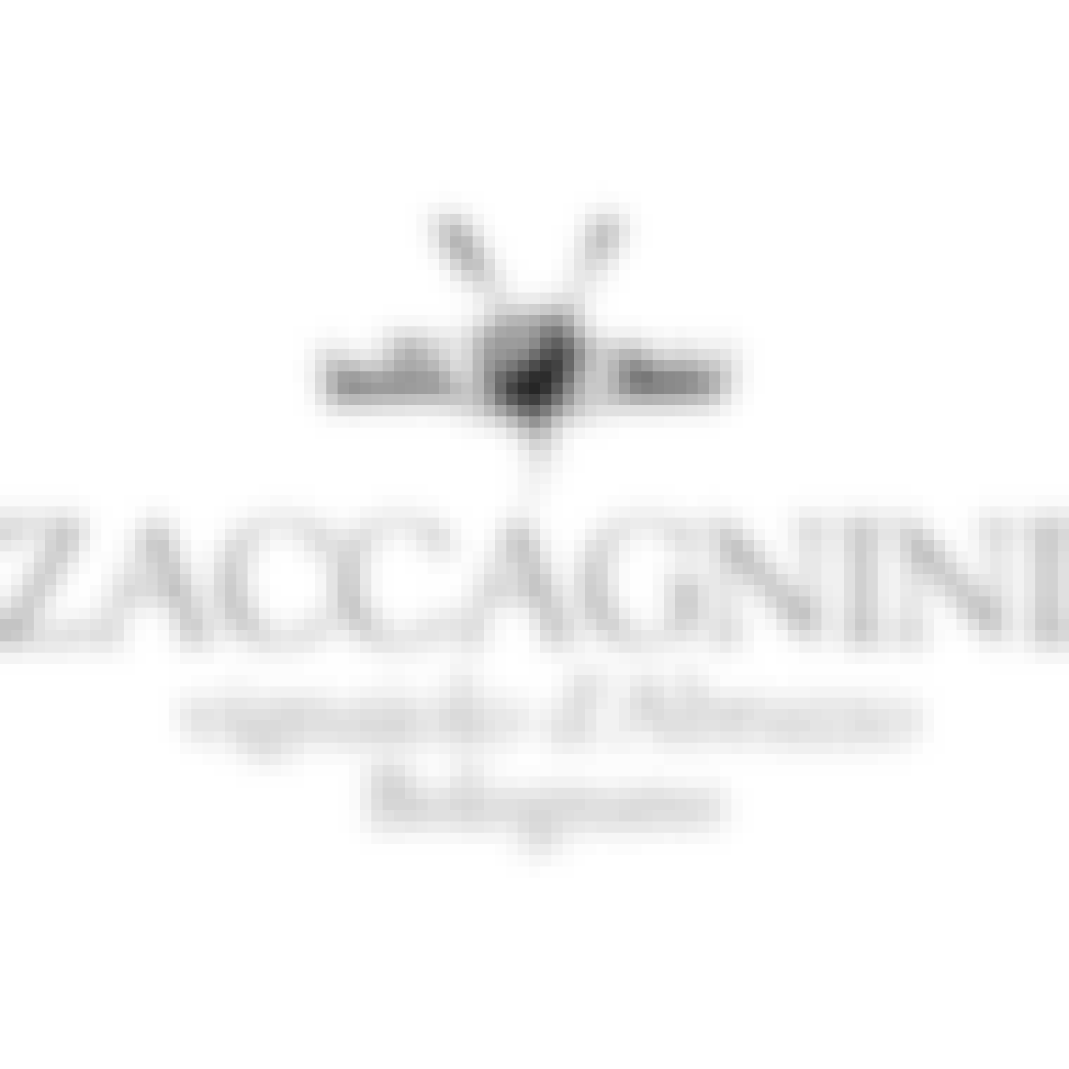 Cantina Zaccagnini Cerasuolo d'Abruzzo Rosé 2021 750ml