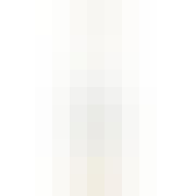 Belvedere Ginger Zest Vodka 1L