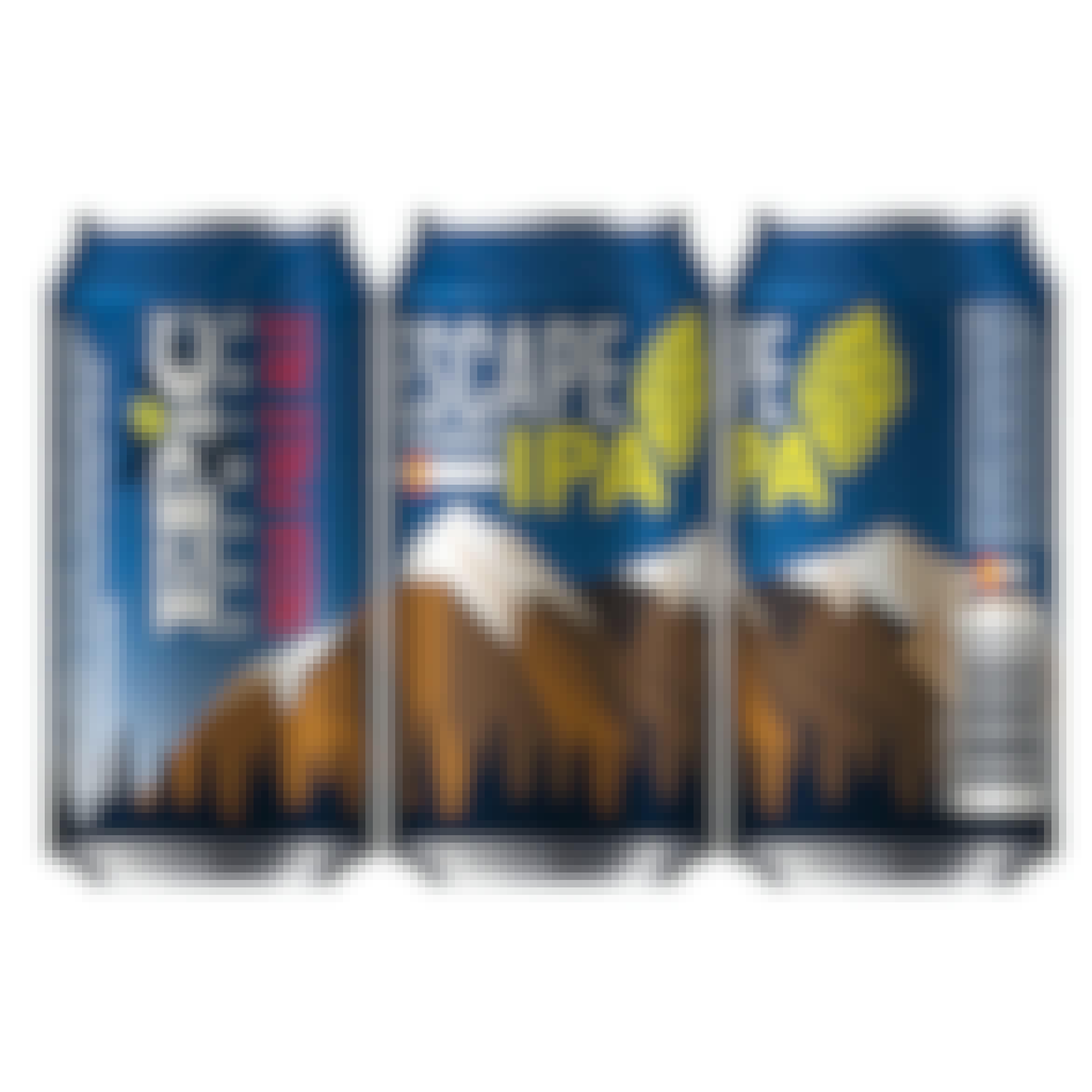 Epic Brewing Escape To Colorado 6 pack 12 oz. Can