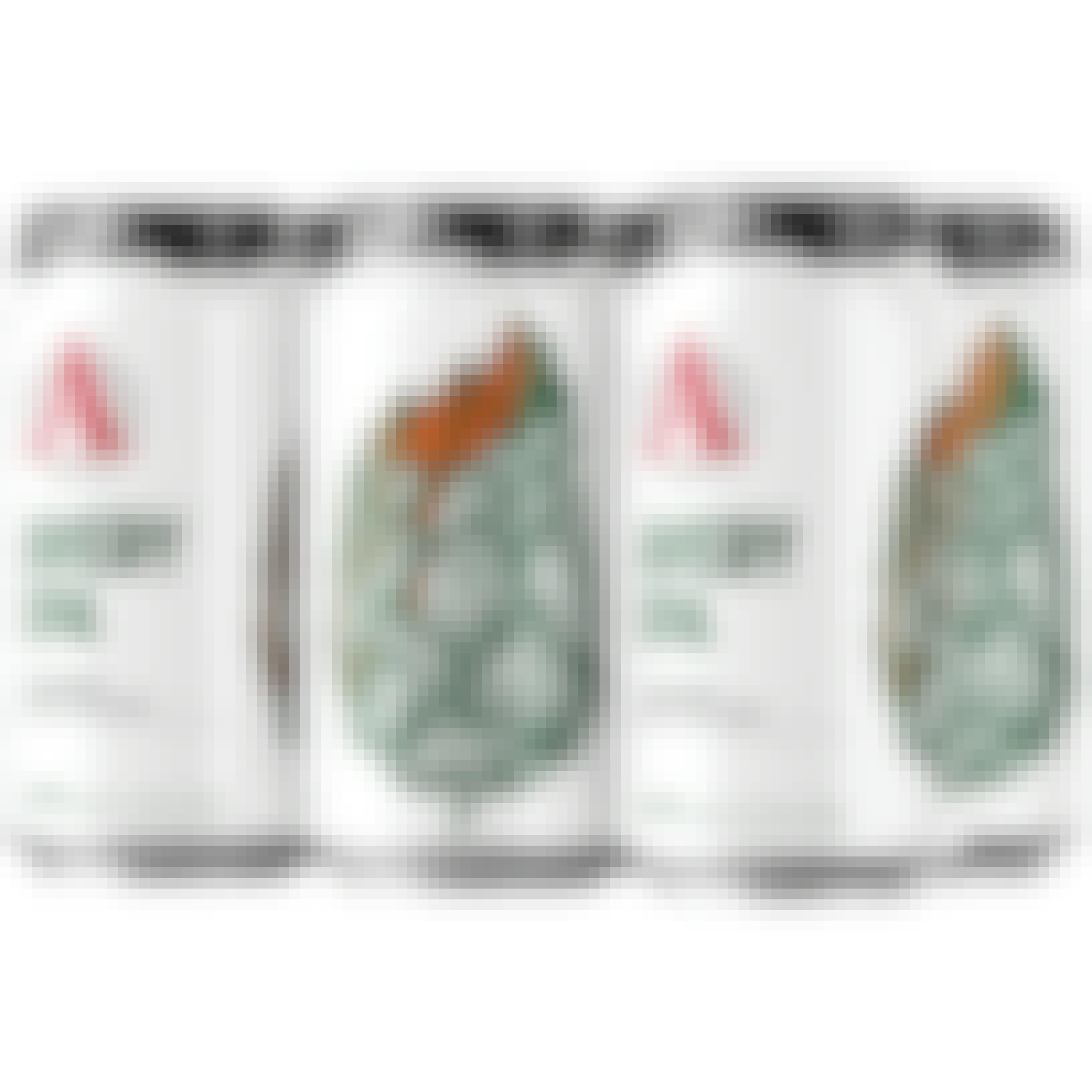 Avery Brewing Co. IPA 6 pack 12 oz. Can