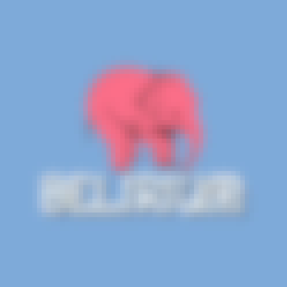 Delirium Brewery Tremens Bomber 750ml