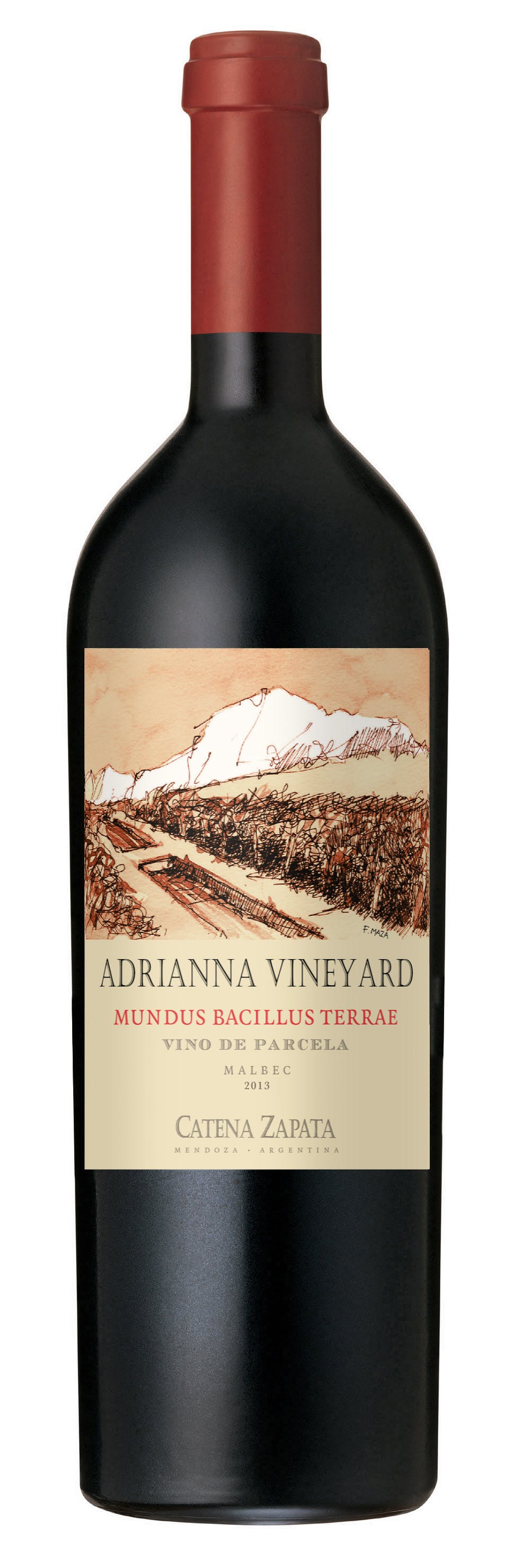 Adrianna vineyard clearance