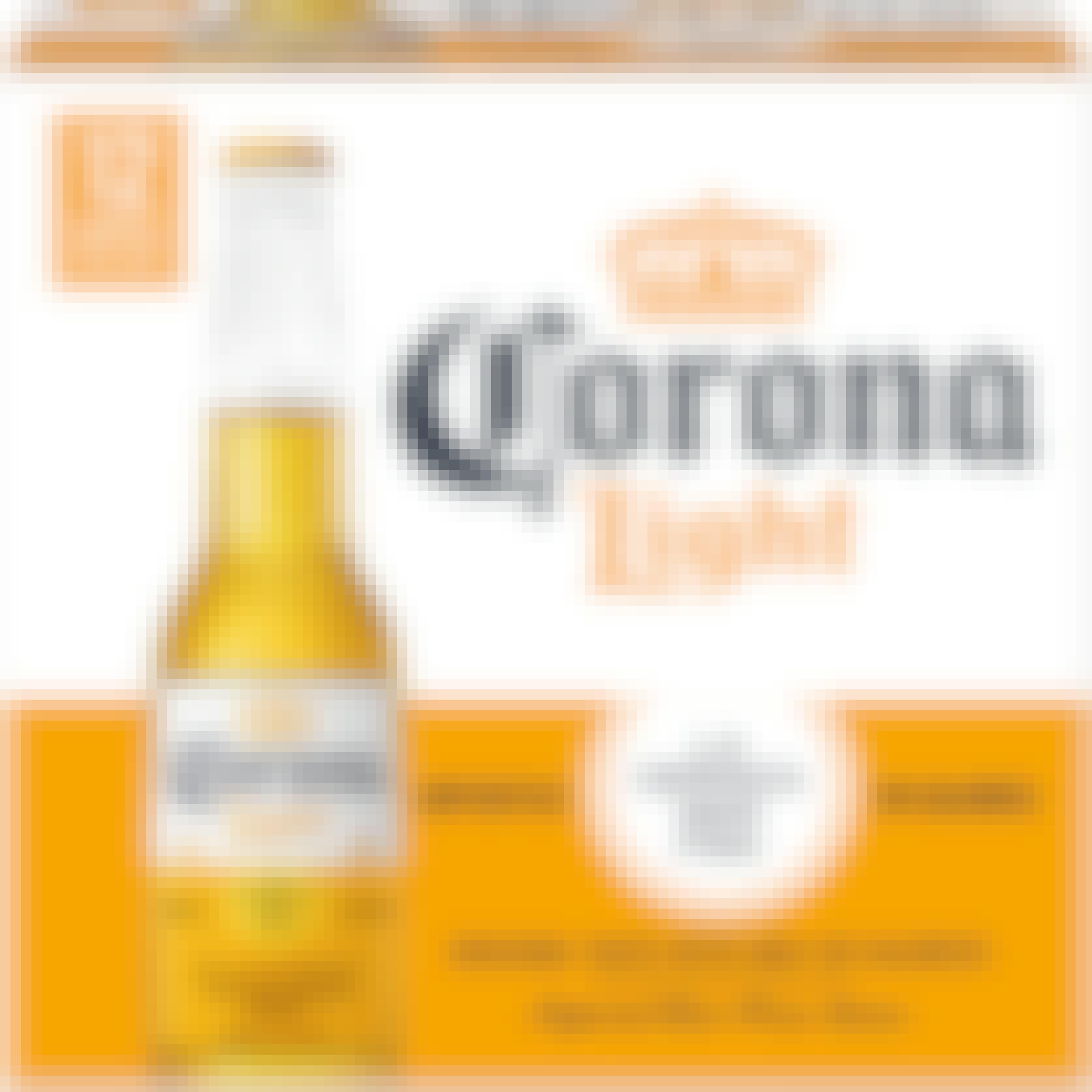 Corona Light 12 pack 12 oz. Bottle