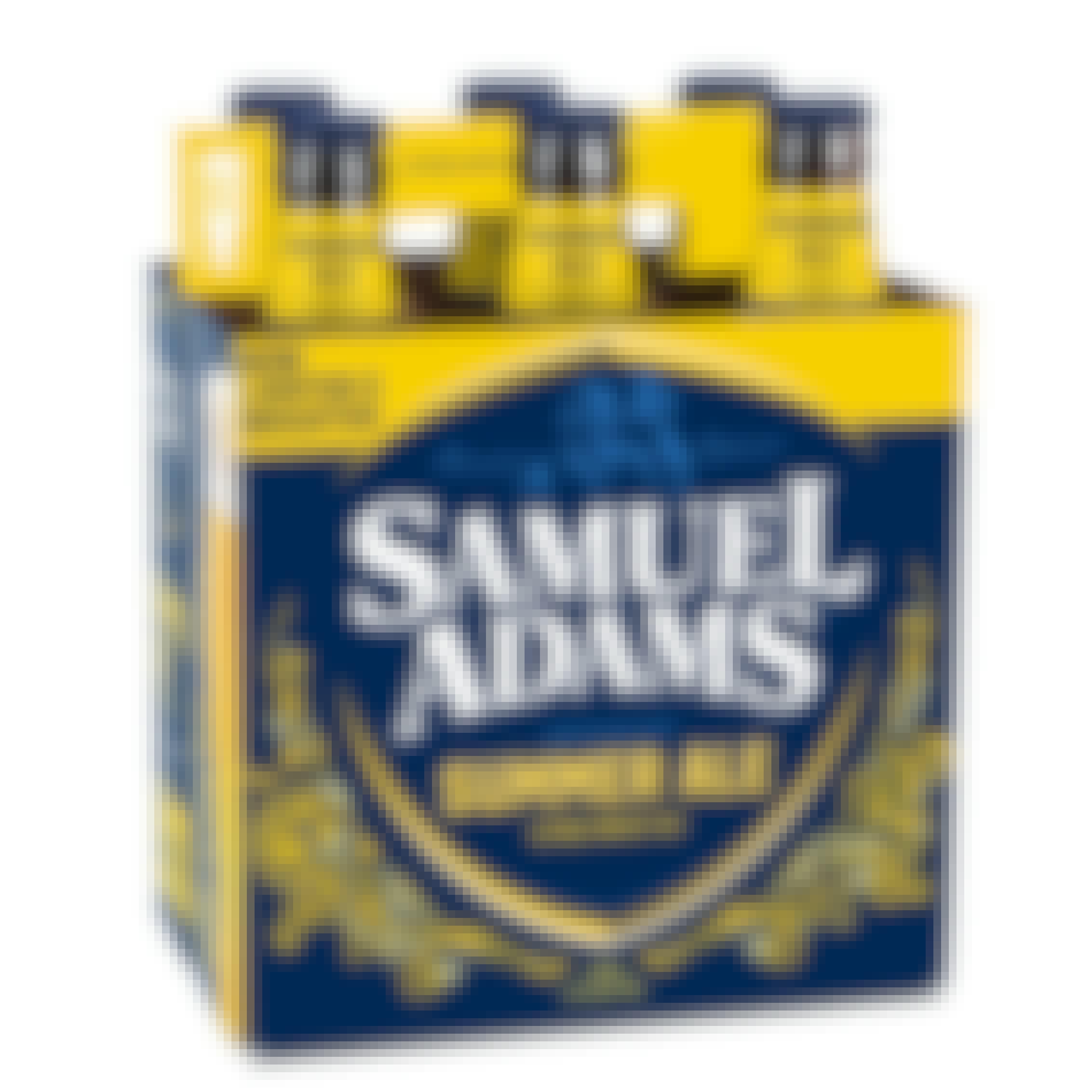Samuel Adams Summer Ale 6 pack 12 oz. Bottle