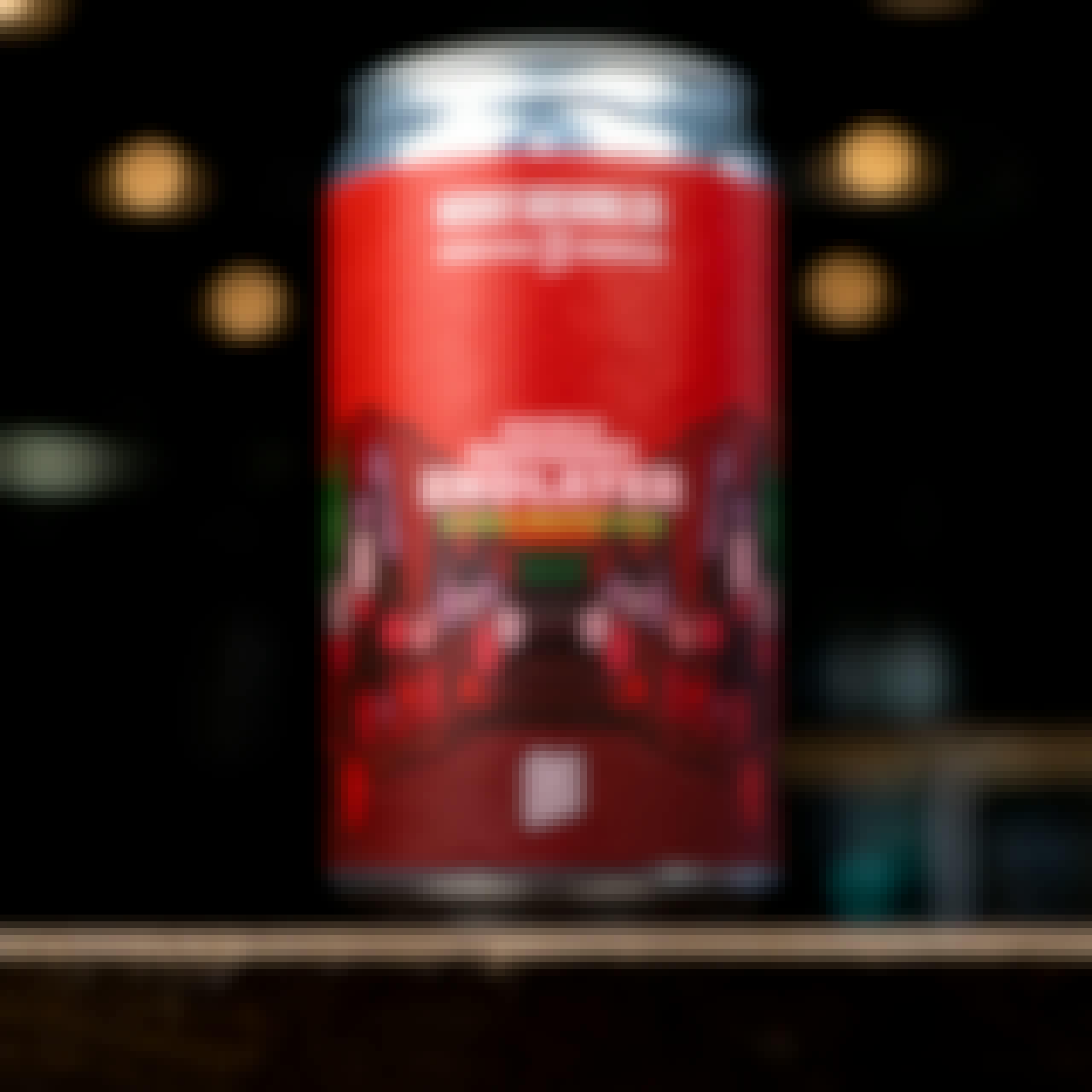 Modist Brewing Double Raspberry Endlayer Double Fruited Gose 4 pack 16 oz. Can