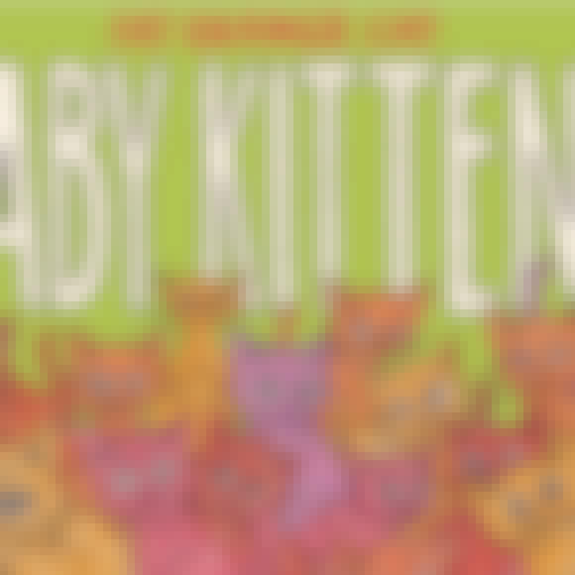 Fat Orange Cat Brewing Co. Baby Kittens Can