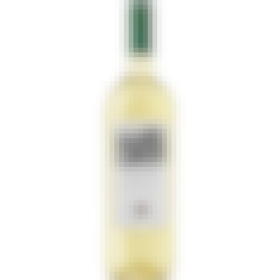 El Coto de Rioja Blanco 2020 750ml