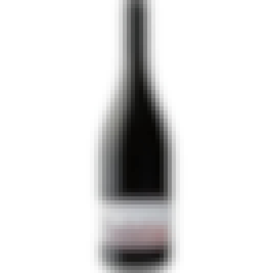 Sokol Blosser Evolution Pinot Noir 2020 750ml