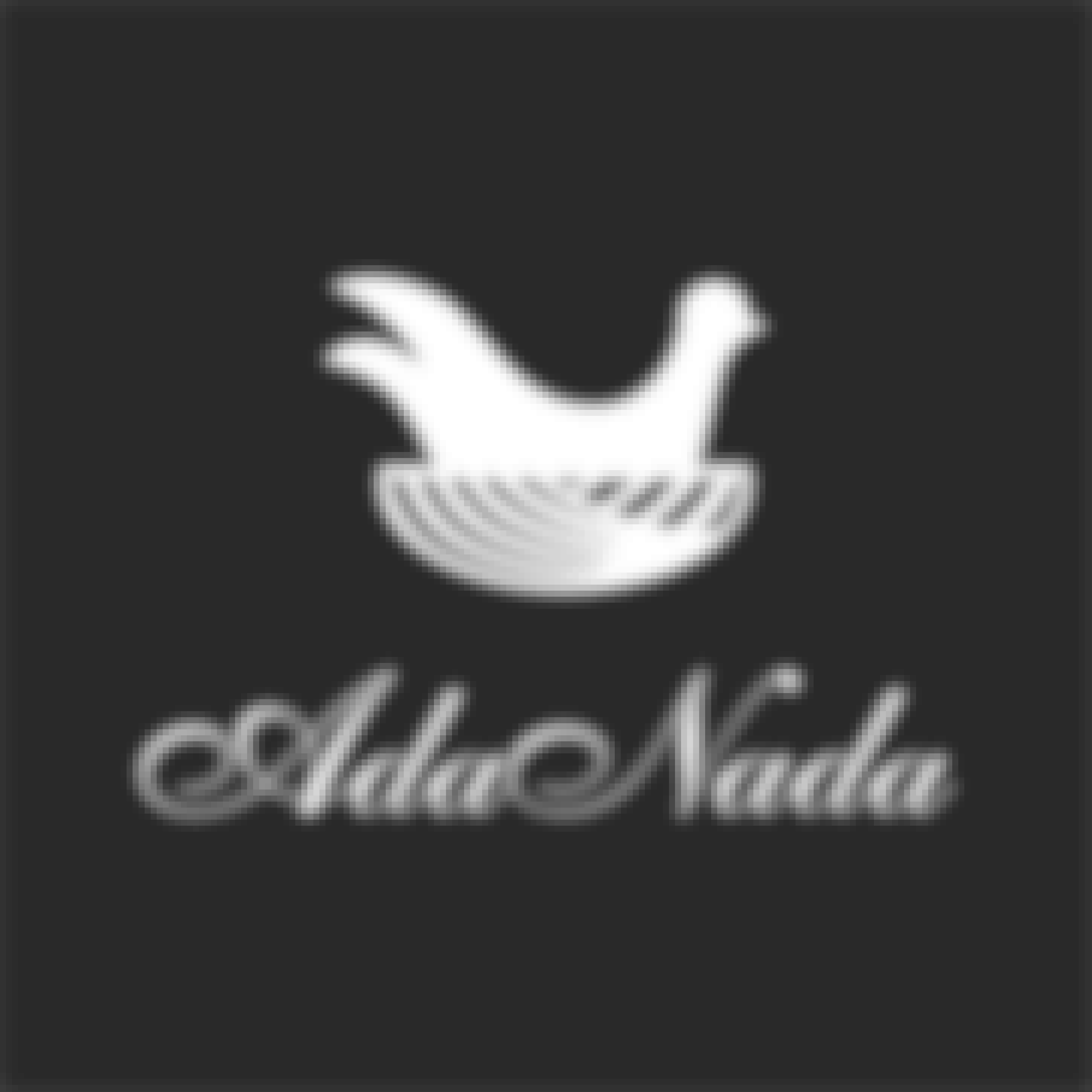 Ada Nada Barbaresco Valeirano 2017 750ml
