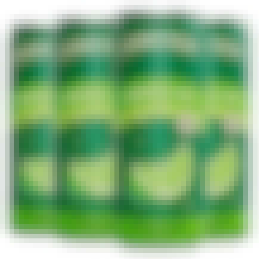 Jameson Ginger & Lime 4 pack 350ml Can