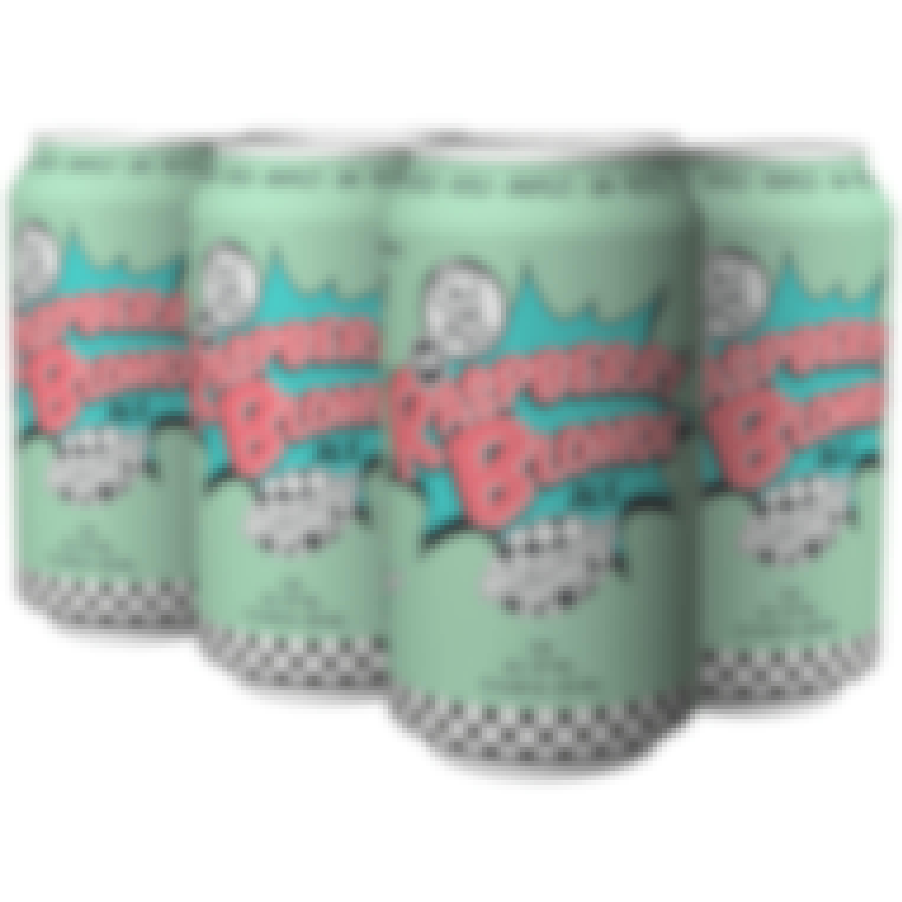 Ska Brewing The Raspberry Blonde Ale 6 pack 12 oz. Can