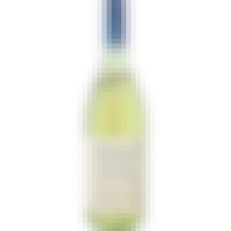 Cantina Zaccagnini Pinot Grigio 2021 750ml