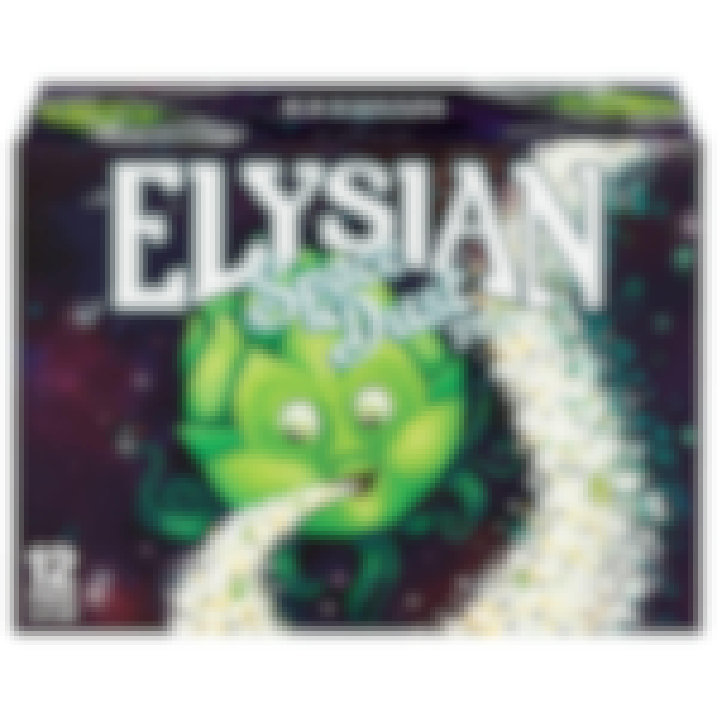 Elysian Space Dust IPA 12 pack 12 oz. Can