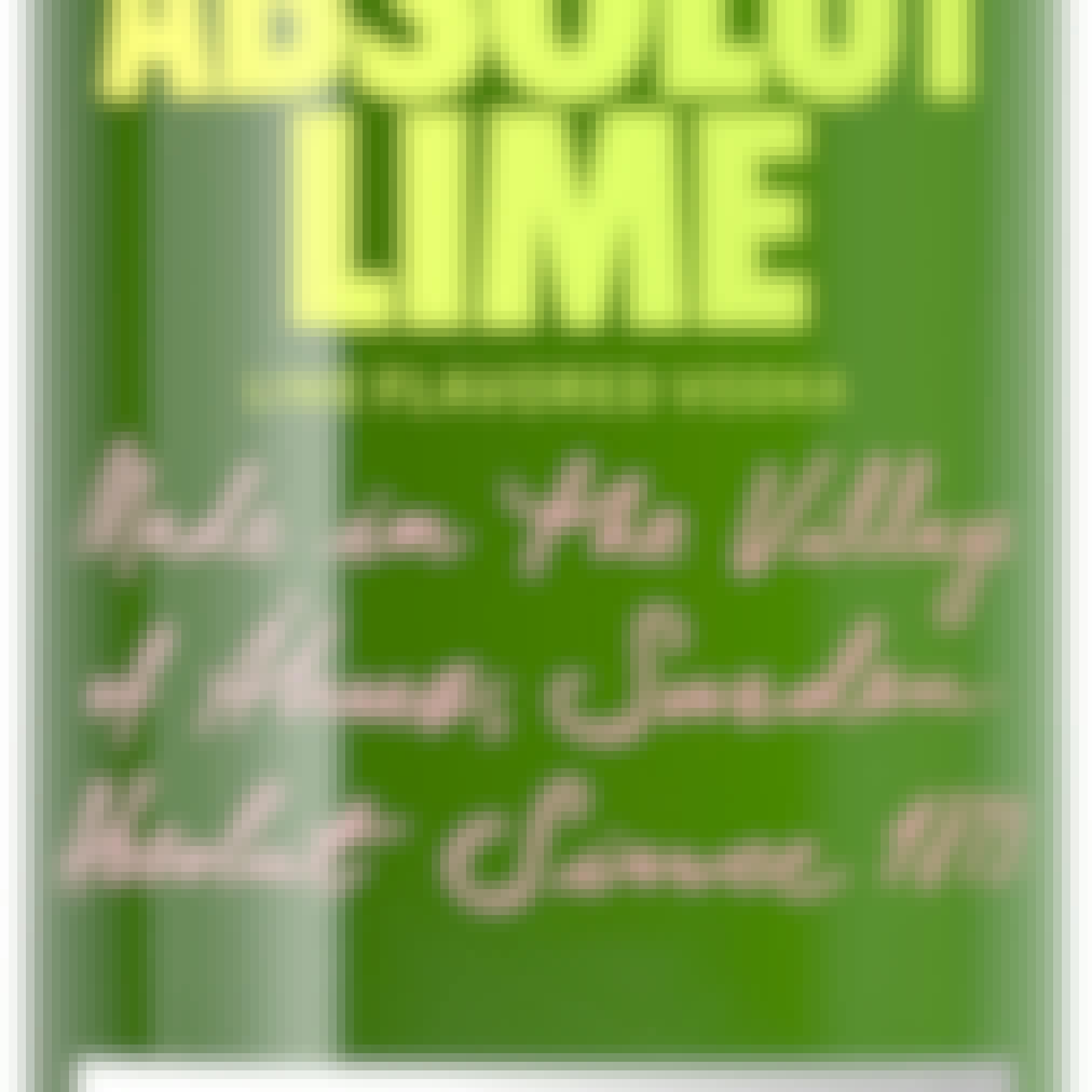 Absolut Lime Vodka 1L