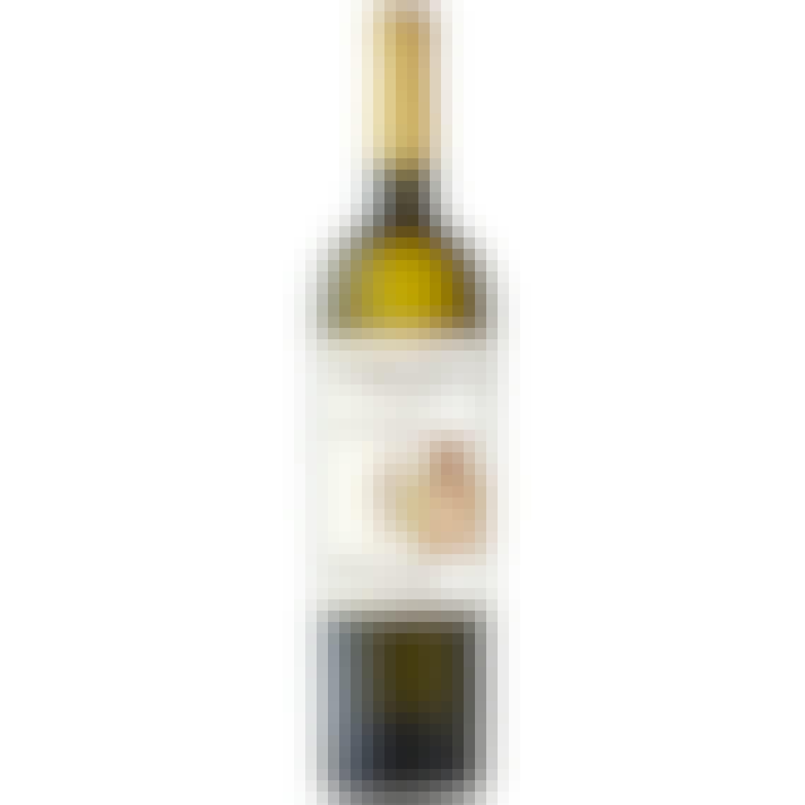 Terlato Vineyards Friuli Pinot Grigio 750ml