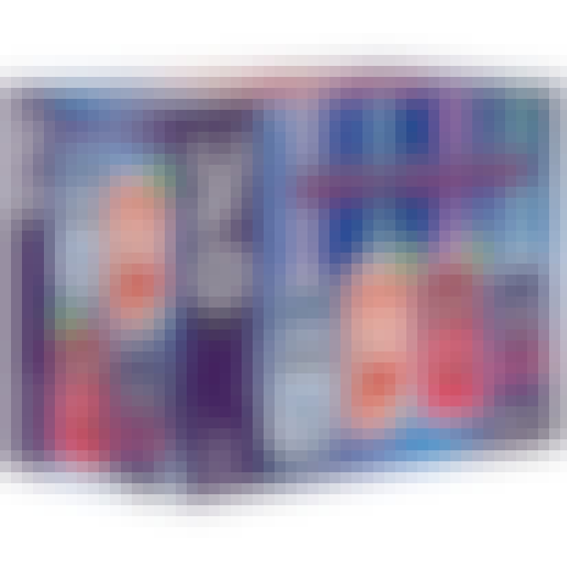 UFO Beer Berry Blaster Variety Pack 12 oz. Can