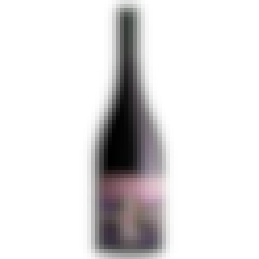 Decibel Testify Martinborough Pinot Noir 2018 750ml